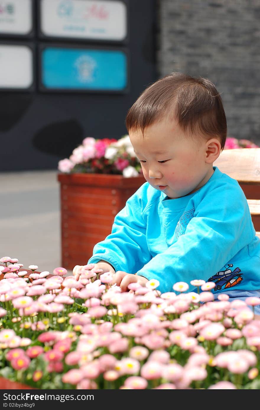 Cute baby boy with flowers