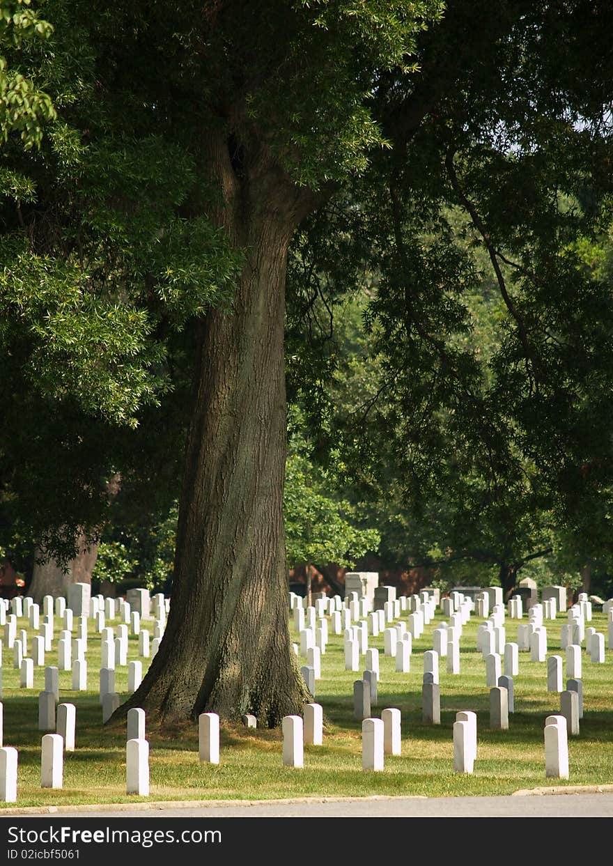 Arlington National Cemetery, Washington DC