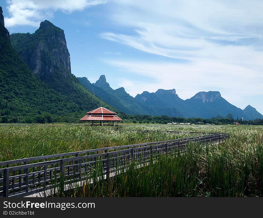 Lake Central wooden bridge. Filled with grass. Sam Roi Yod National Park.