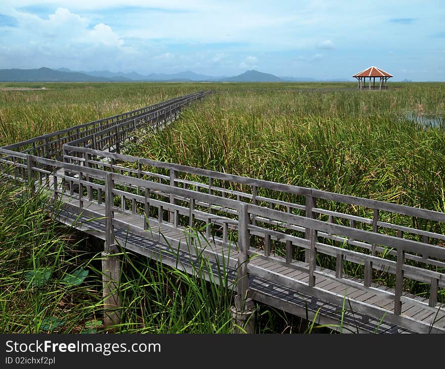 Lake Central wooden bridge. Filled with grass. Sam Roi Yod National Park.