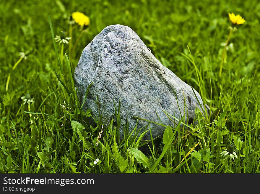 Big stone between green grass. Big stone between green grass