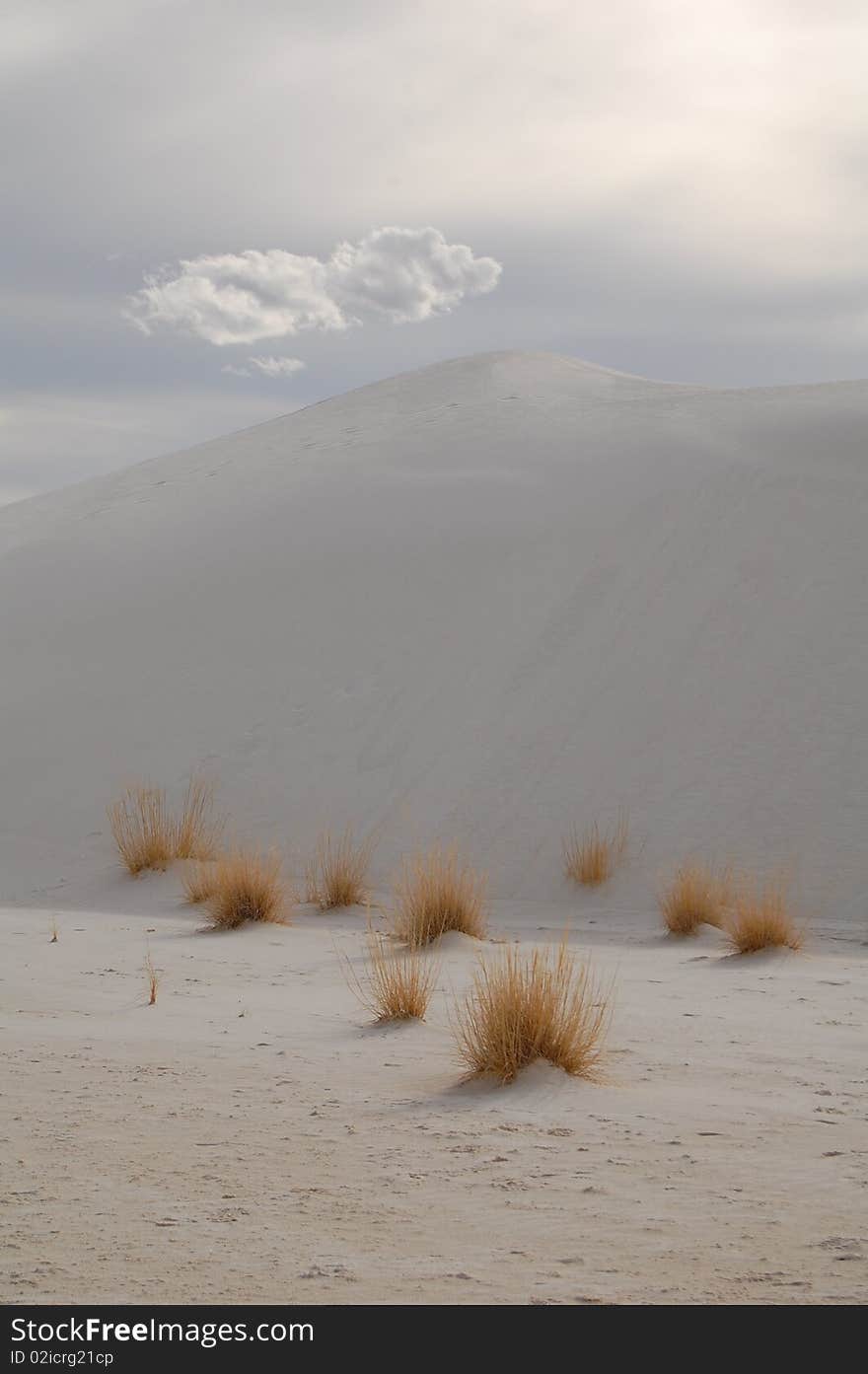 White sands and vegetation