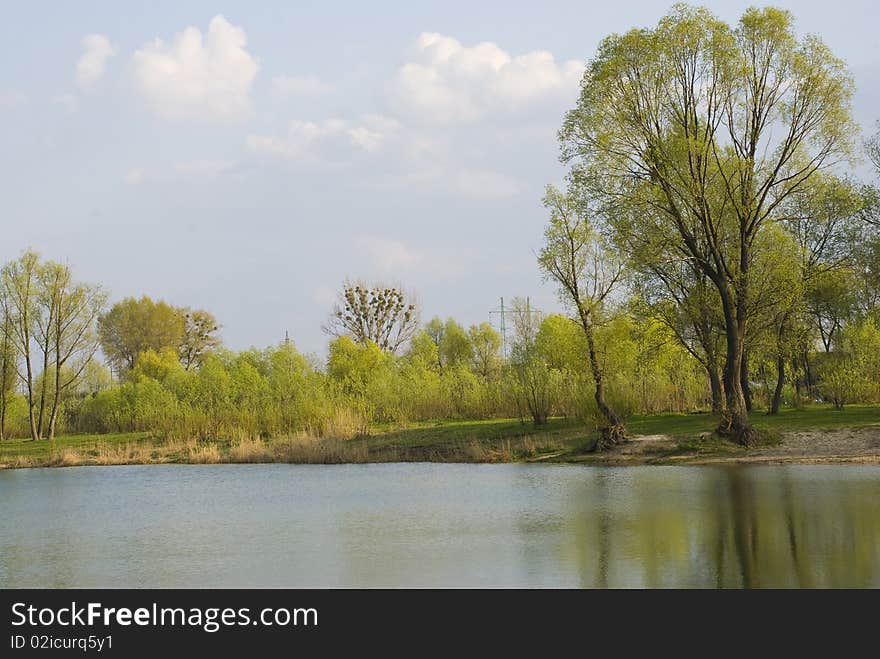 Spring landscape