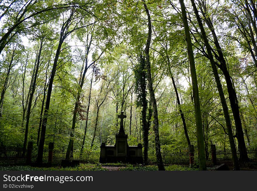 Old cemetery in a forest