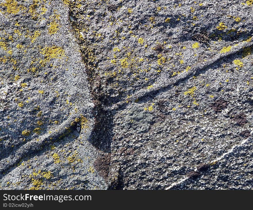 Stone surface textures with moss. Stone surface textures with moss