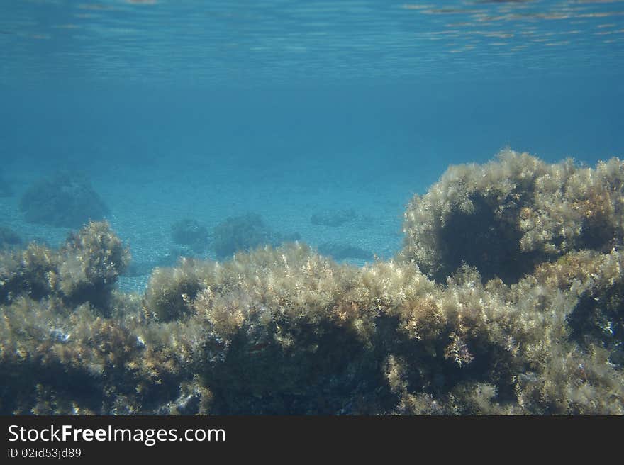 Underwater background.