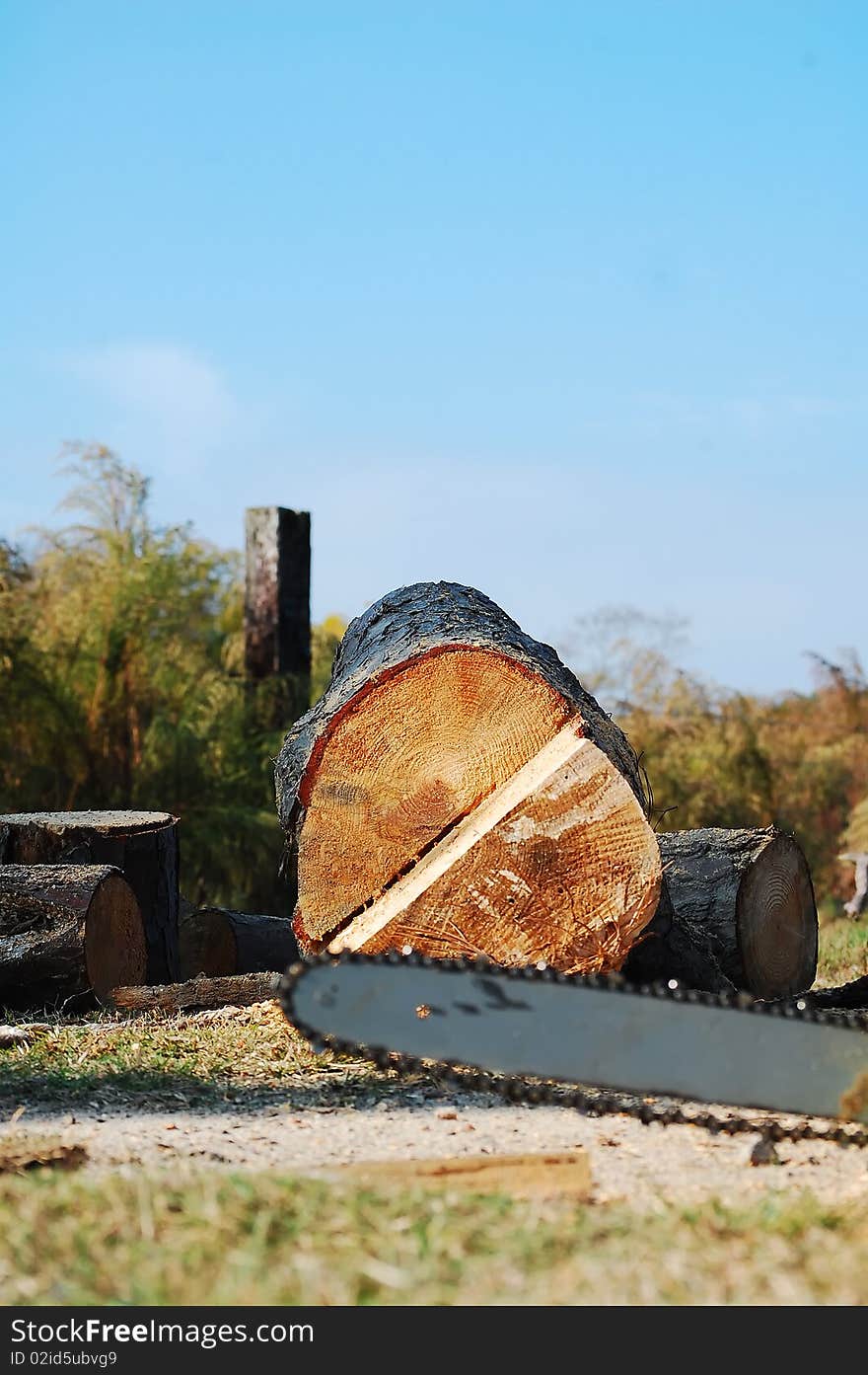 Chainsaw laying on ground in front of log. Chainsaw laying on ground in front of log.