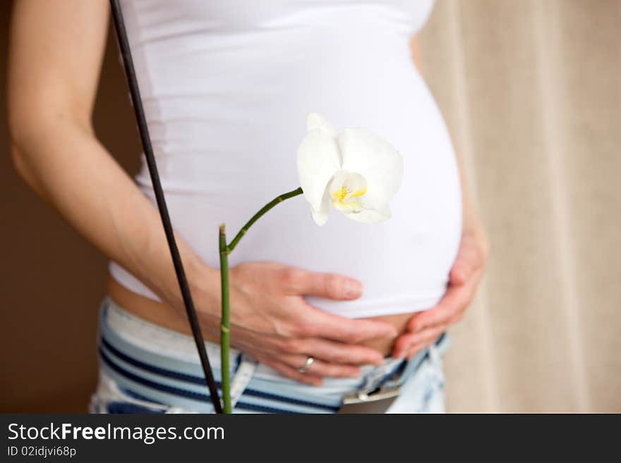 Magnolia flower and pregnant woman belly