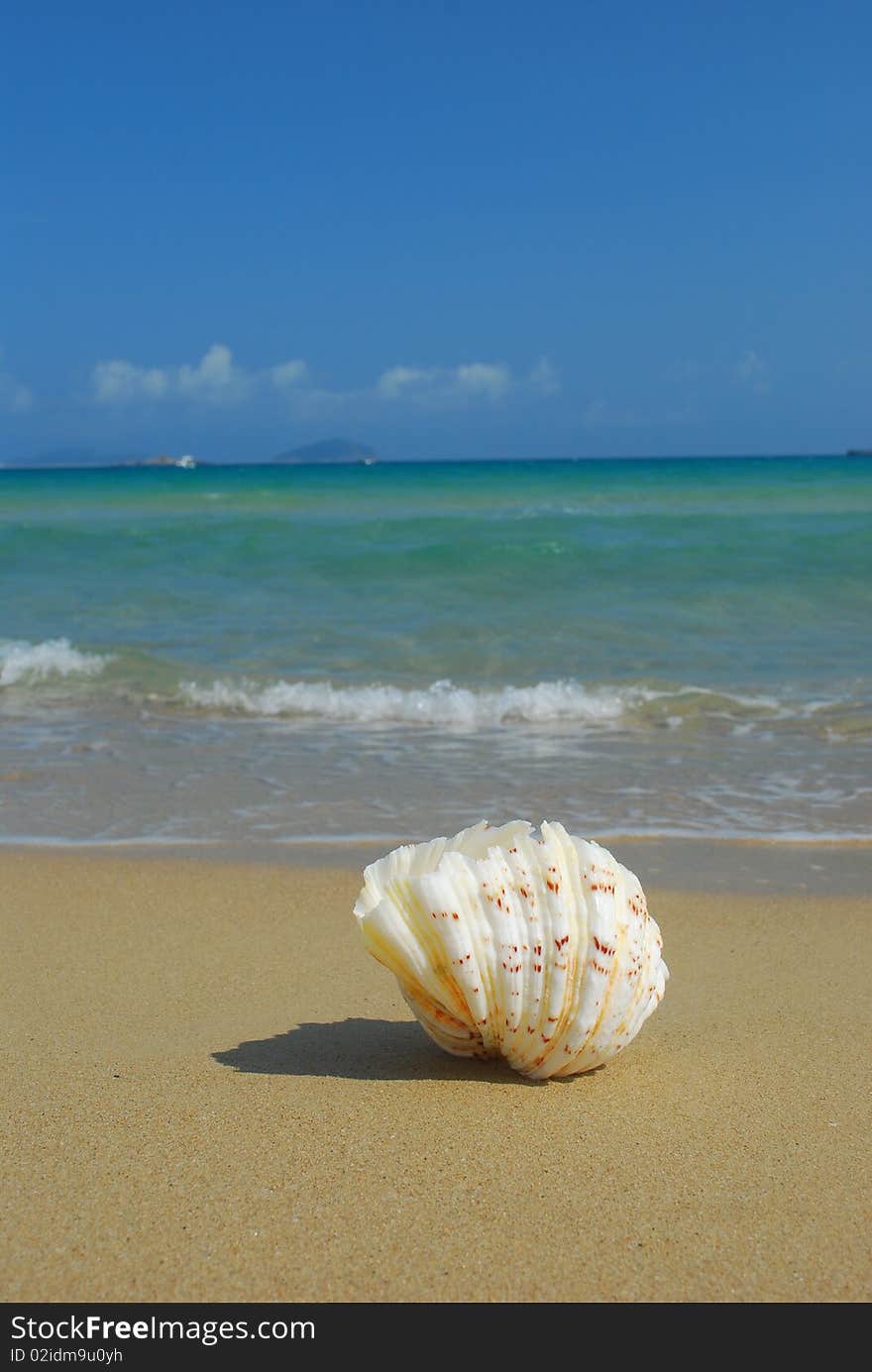 Placed on the beach on the Nautilus. Placed on the beach on the Nautilus