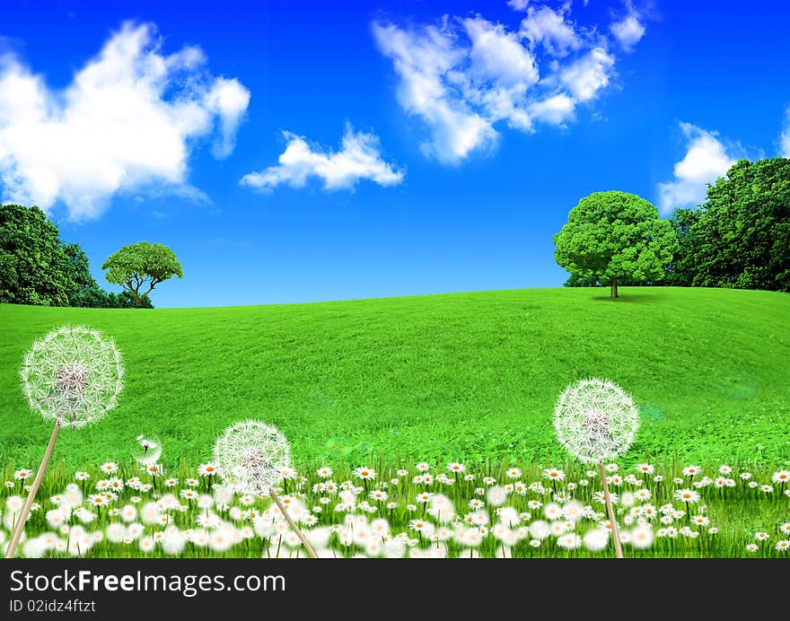 Green field and blue sky