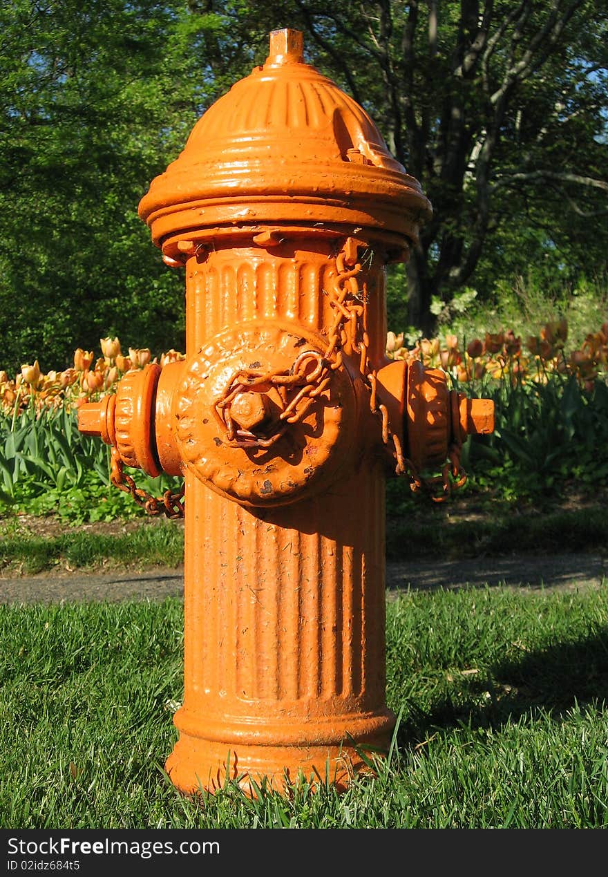 A bright orange fire hydrant stands in the grass in front of a backdrop of orange tulips.