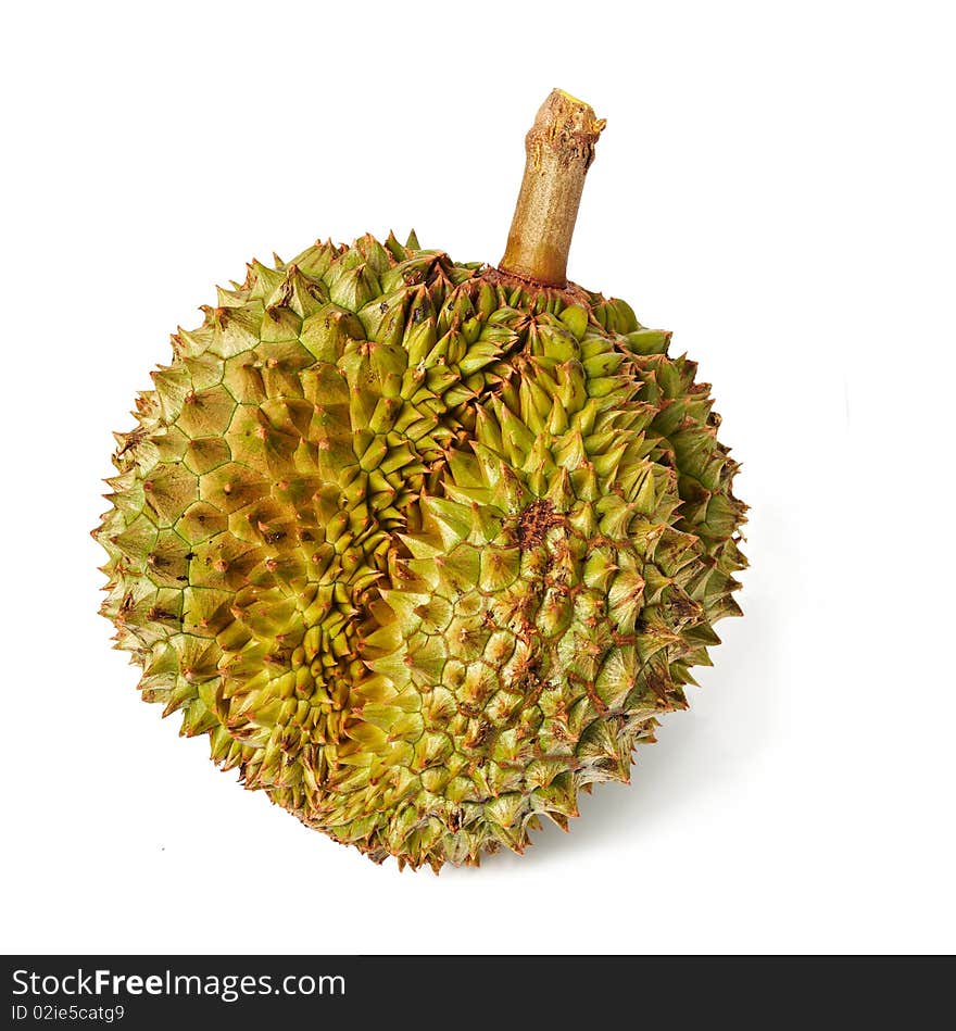 Durian. Giant Tropical Fruit.