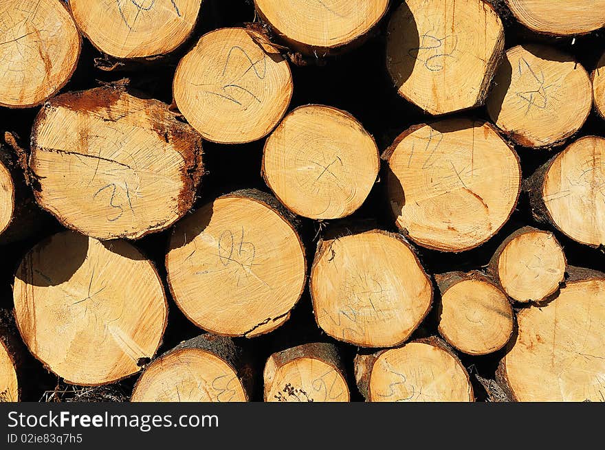 Pile Of Wooden Logs