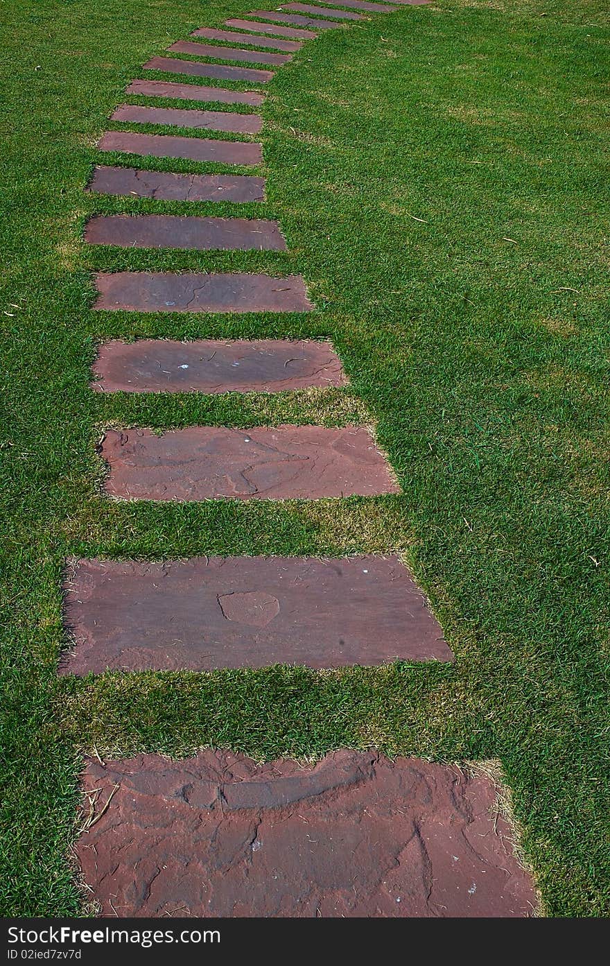 Tilled Footpath On The Green Lawn.