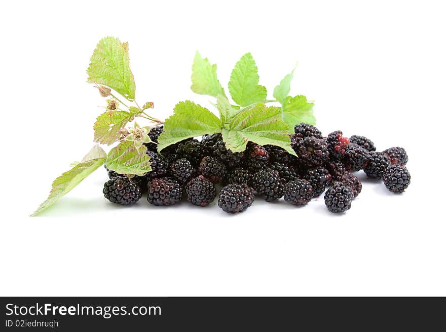 Blackberries isolated on a white background