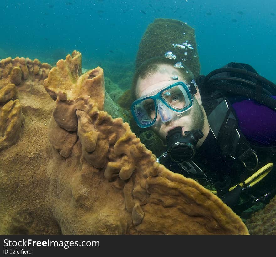 Scuba diver with coral