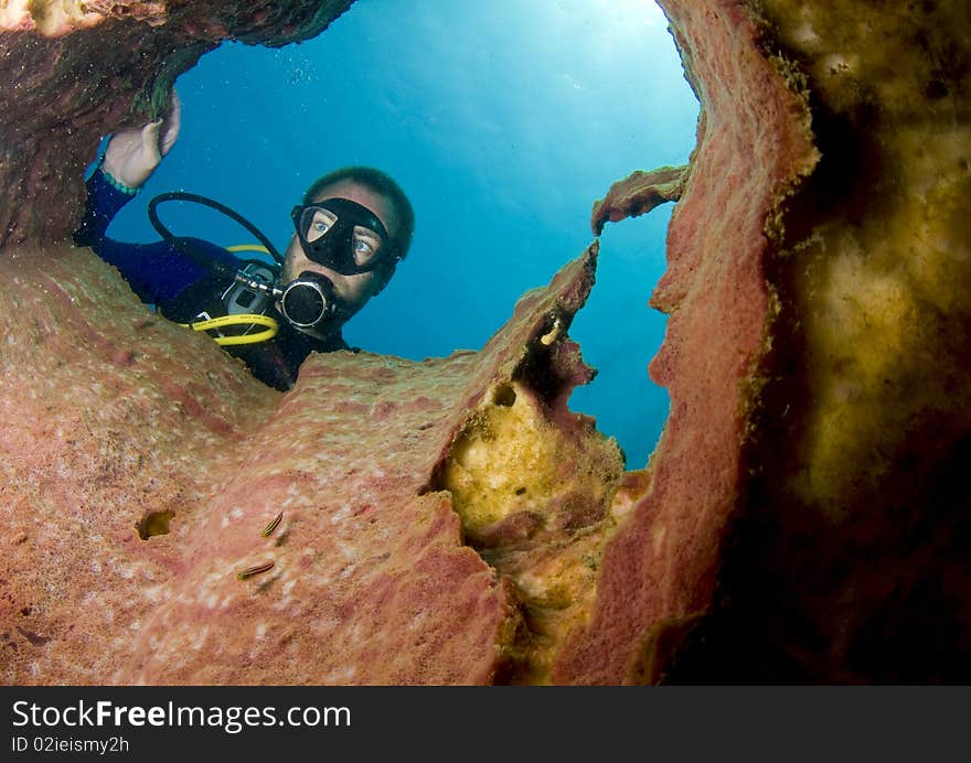 Scuba diver looking down barrel sponge