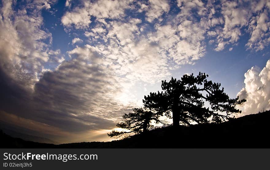 Dramatic sky with trees in background. Dramatic sky with trees in background