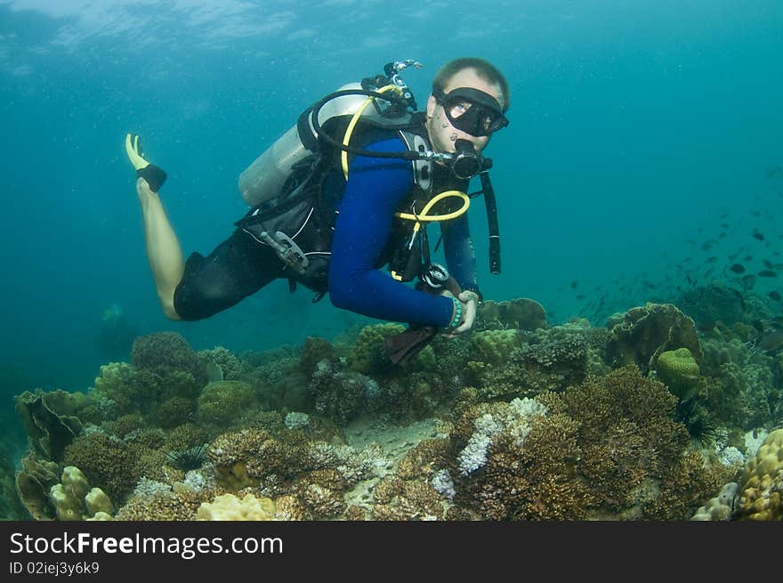 Scuba Diver Swimming Over Reef