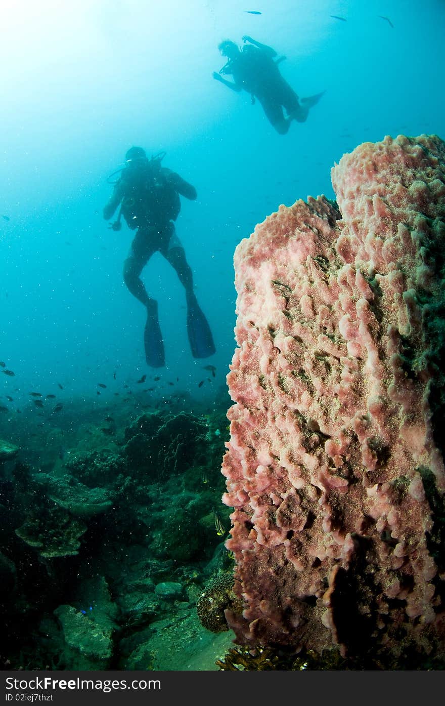 Divers decend onto reef silouetted by sun. Divers decend onto reef silouetted by sun