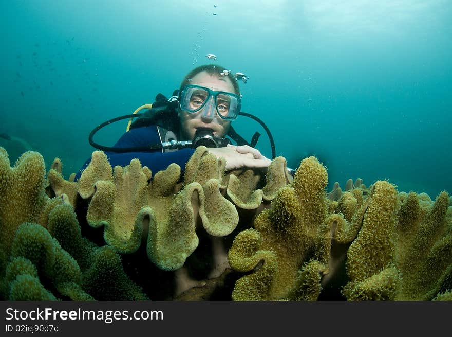 Scuba diver swimming over reef