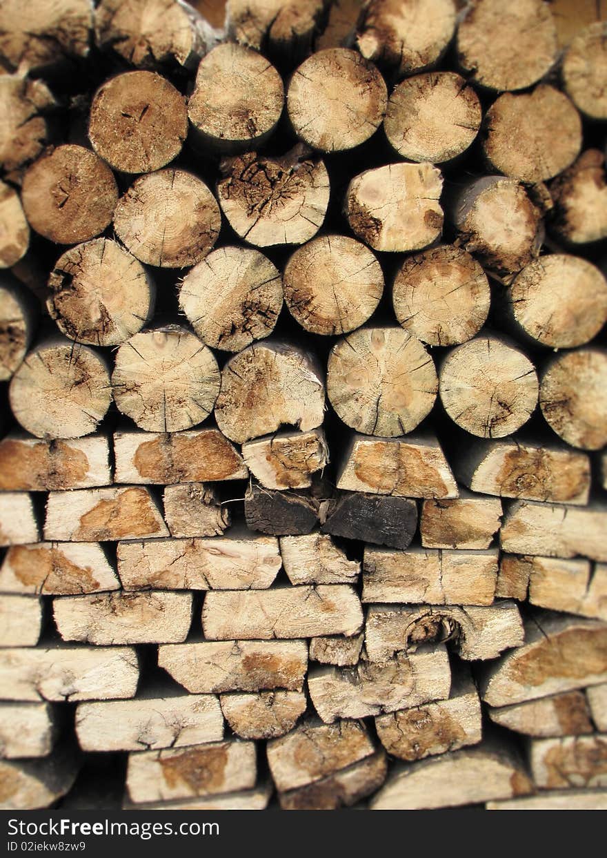 Harvested logs