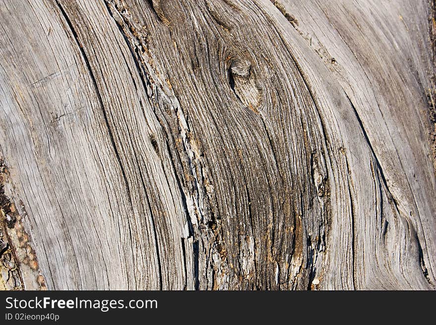 Old wood