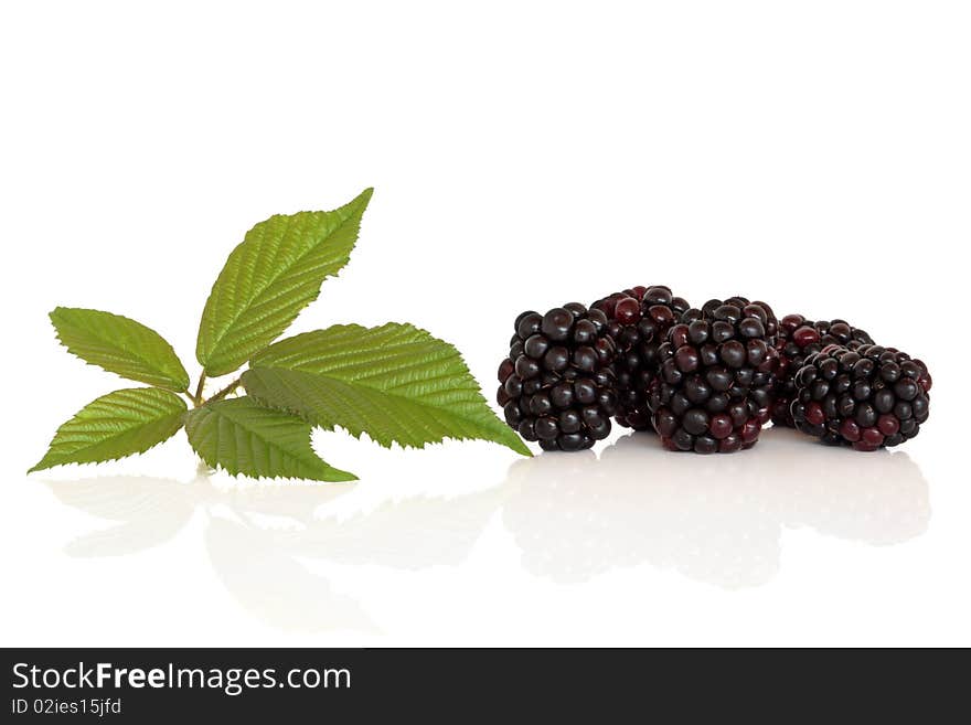 Blackberry fruit with leaf sprig, isolated over white background with reflection.