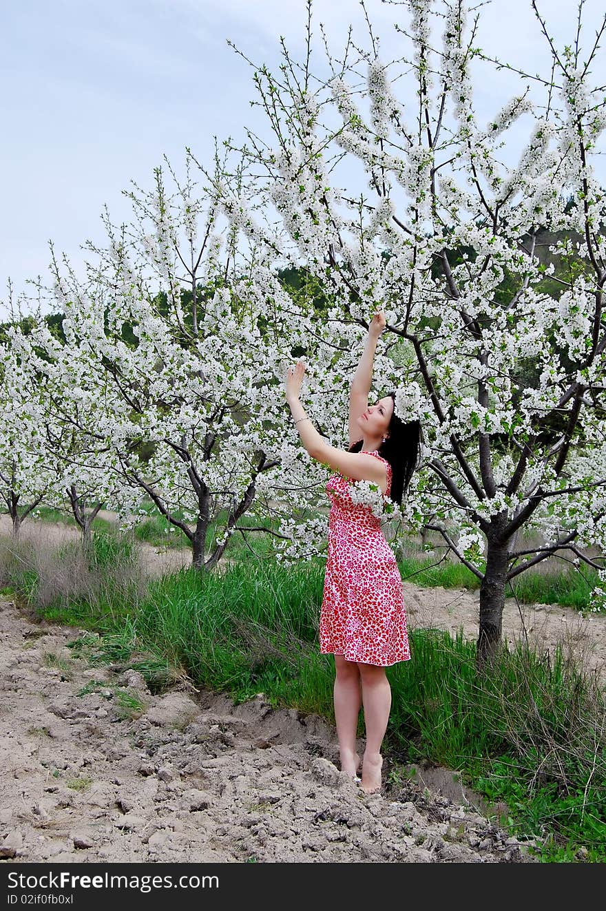 The beautiful girl in a garden