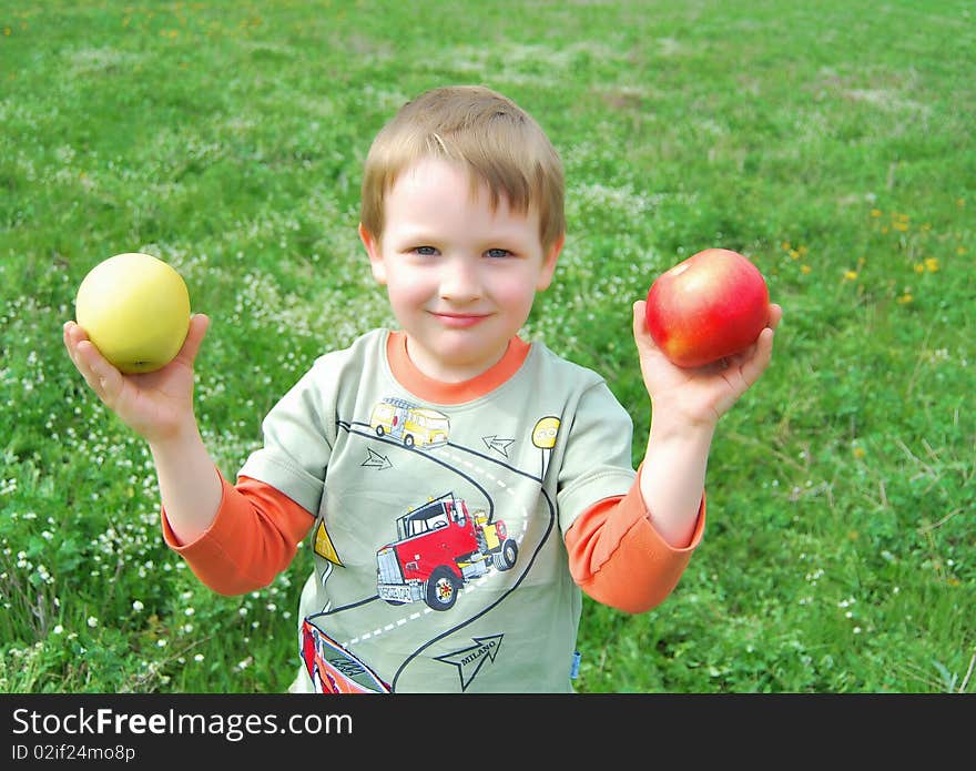 The little boy on walk on a meadow