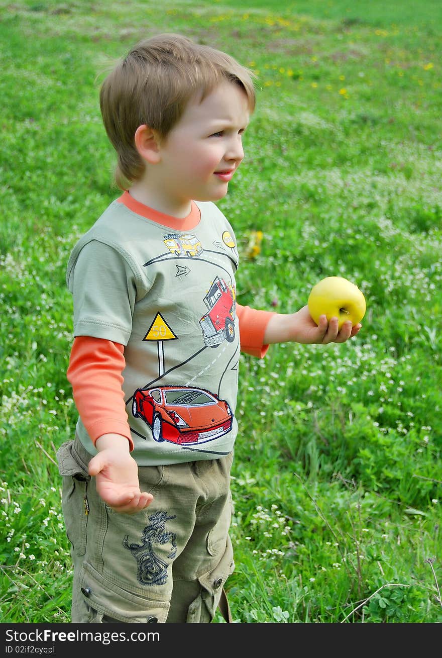 The little boy on walk on a meadow