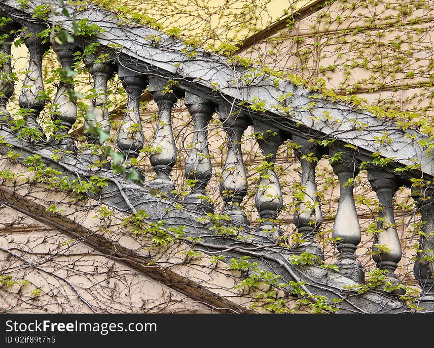 Balistrade stairs full covered with ivy leaves. Balistrade stairs full covered with ivy leaves.