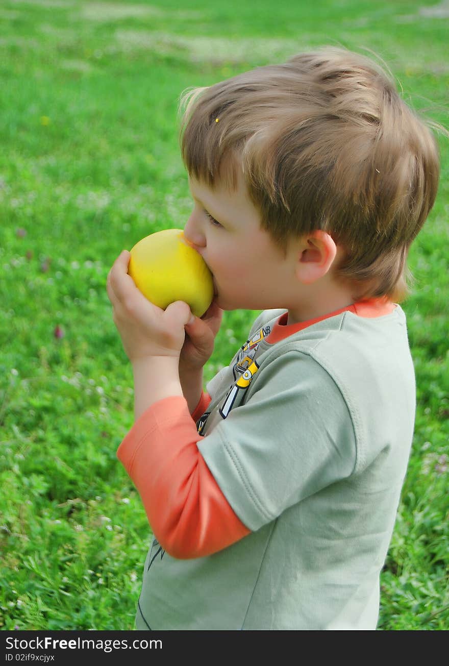 The little boy on walk on a meadow