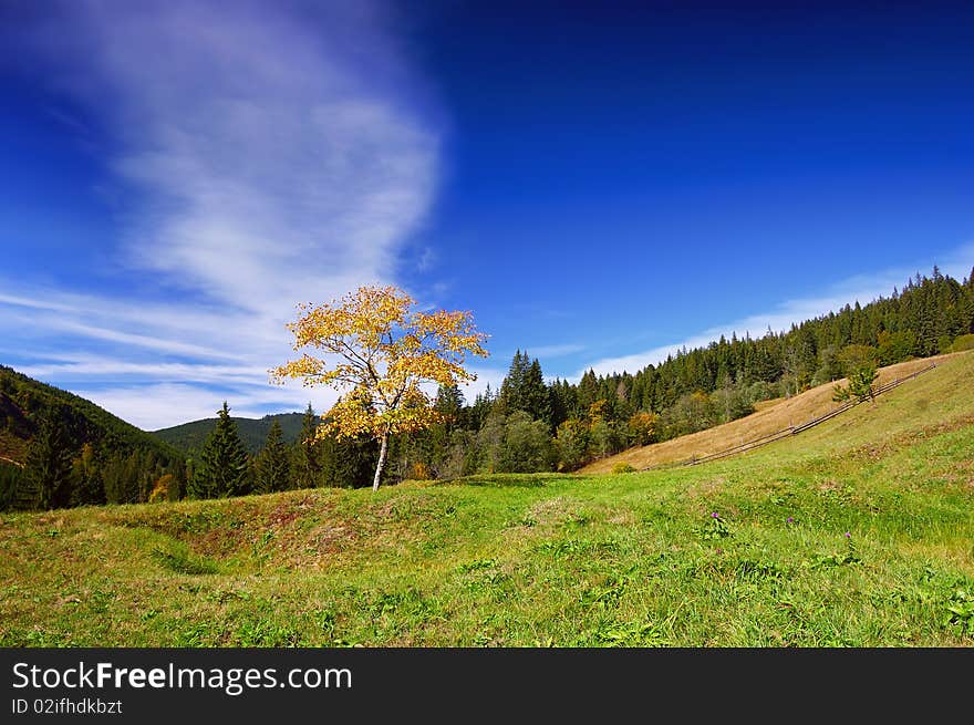 Bright sunny day in mountains. The end of summer. Bright sunny day in mountains. The end of summer