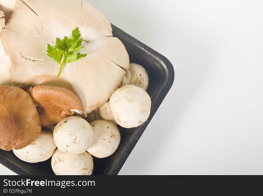 Few champignons (button) and one Shiitake mushroom. Few champignons (button) and one Shiitake mushroom