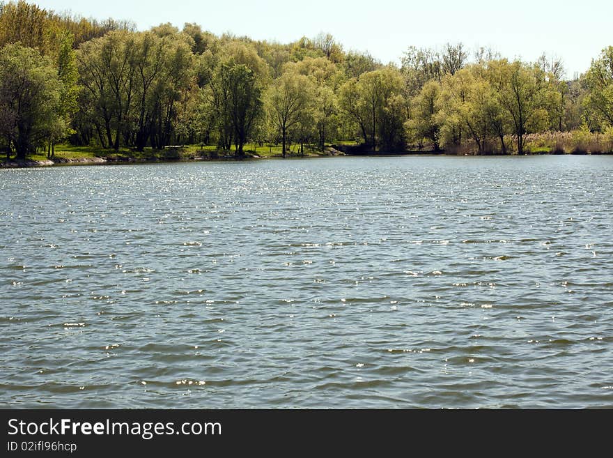 Beautiful landscape with water and trees. Beautiful landscape with water and trees