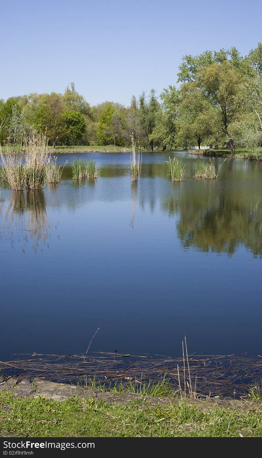 Beautiful landscape with water and trees. Beautiful landscape with water and trees