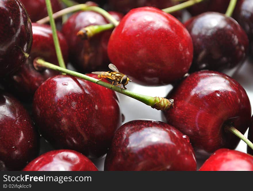 Cherries closeup