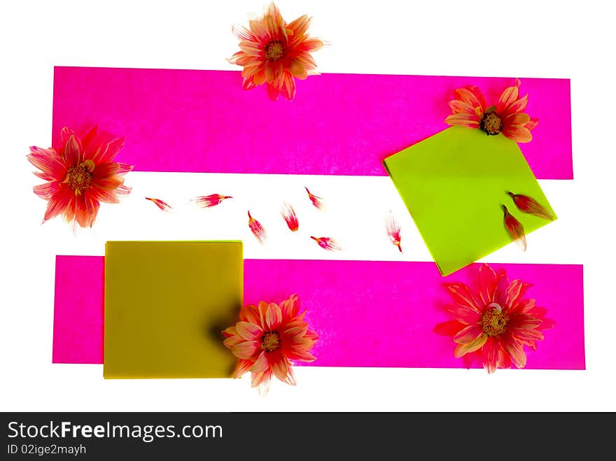 Stickers with flowers and petals with copy space isolated on white