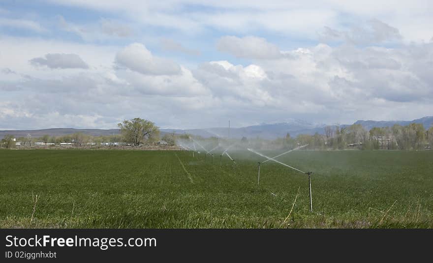 Farm sprinklers watering crops in the mountains. Farm sprinklers watering crops in the mountains.