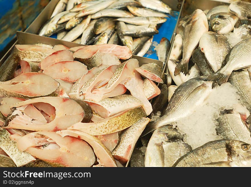 Fresh fish for sale