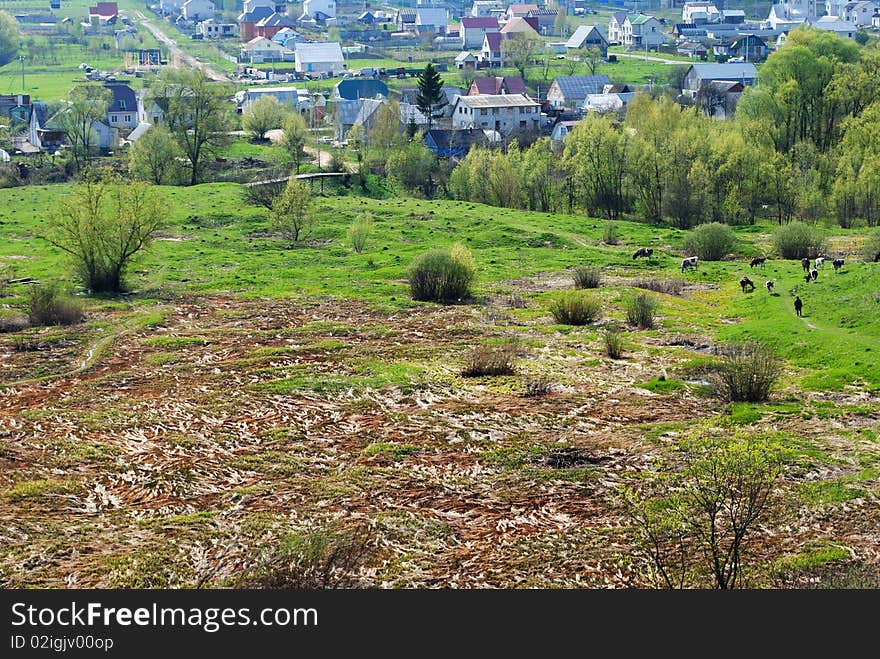 The Rural landscape. The Russian village.