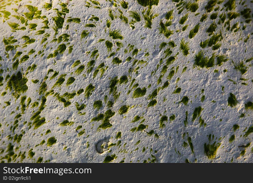 A closeup image of a rock texture with moss growing over it. A closeup image of a rock texture with moss growing over it.