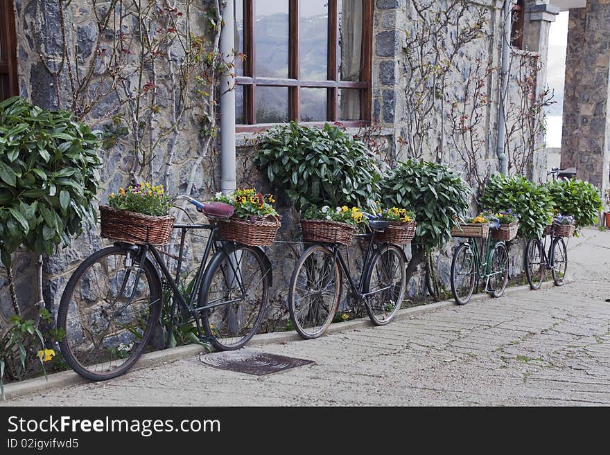 Bicycles decorated with plants as part of a rural environment. Bicycles decorated with plants as part of a rural environment