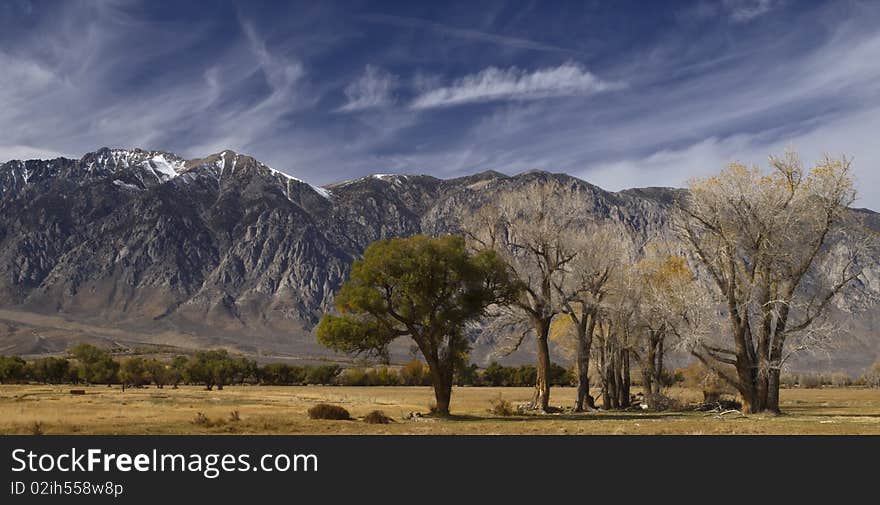 Patch of trees against the snowy peaks of the californian sierra nevada,on the way to yosemite valley,fall 2009. Patch of trees against the snowy peaks of the californian sierra nevada,on the way to yosemite valley,fall 2009.