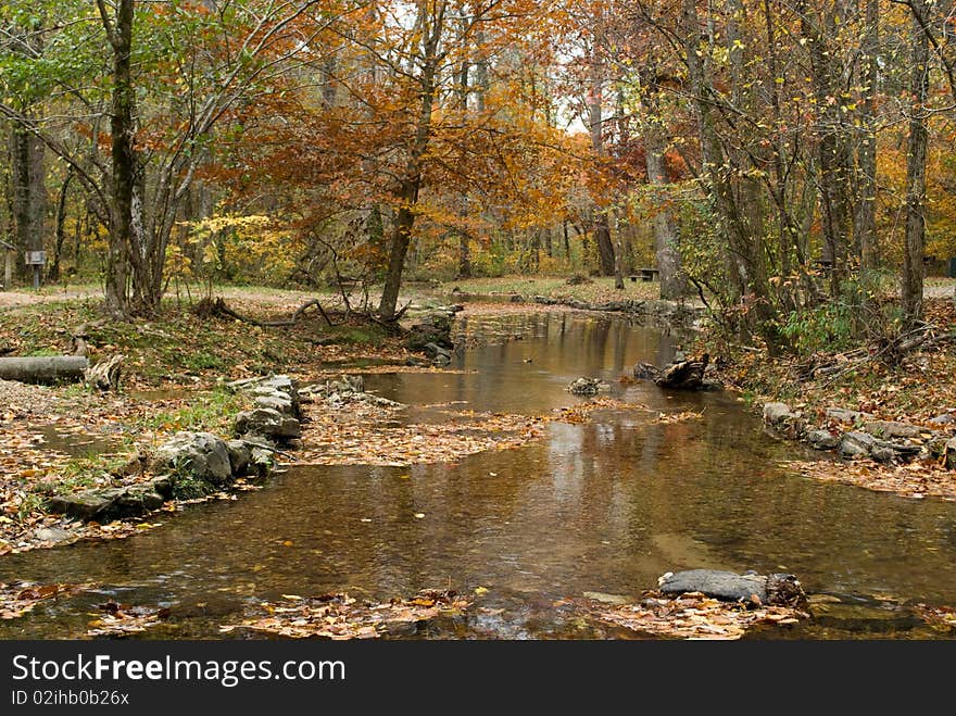 Autumn scene