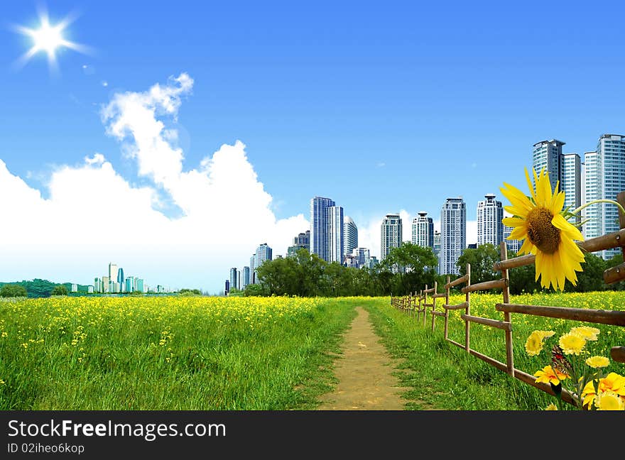 Beautiful landscape and skyscraper in city