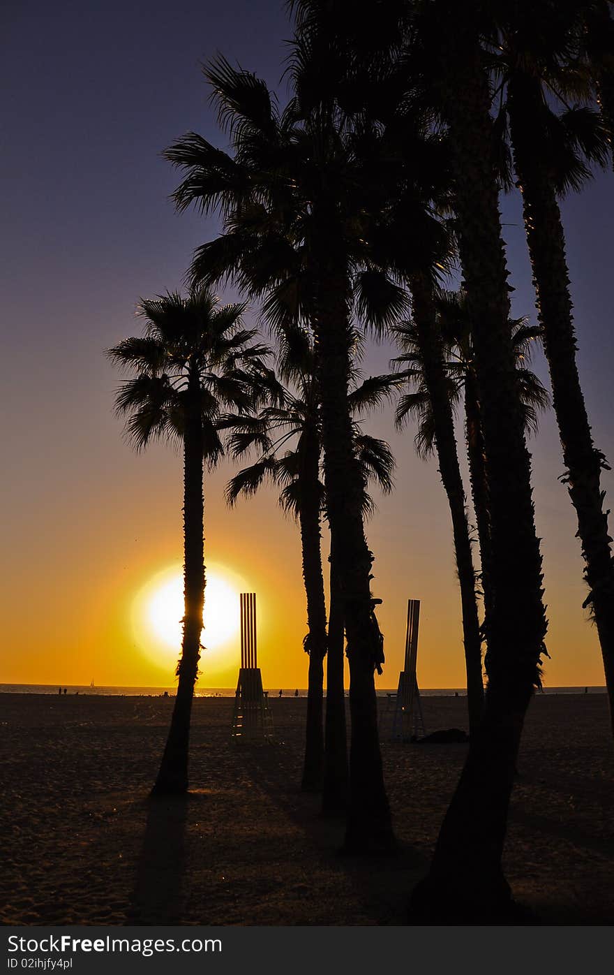 Sunset at SantaMonica beach,silhouette effect,stumps