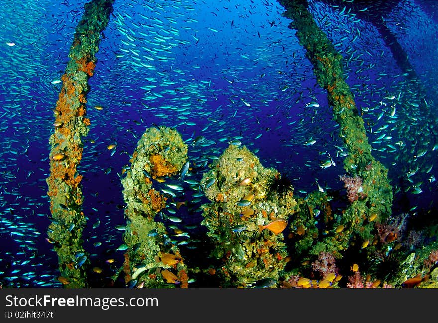 King Cruiser Wreck, PP Island, Thailand