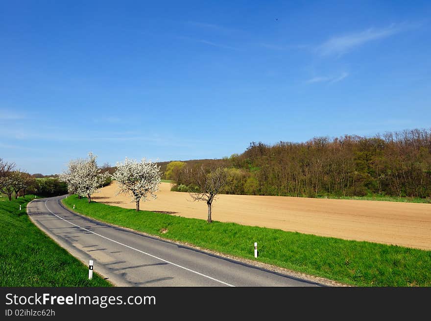 Picturesque view of empty countryside road